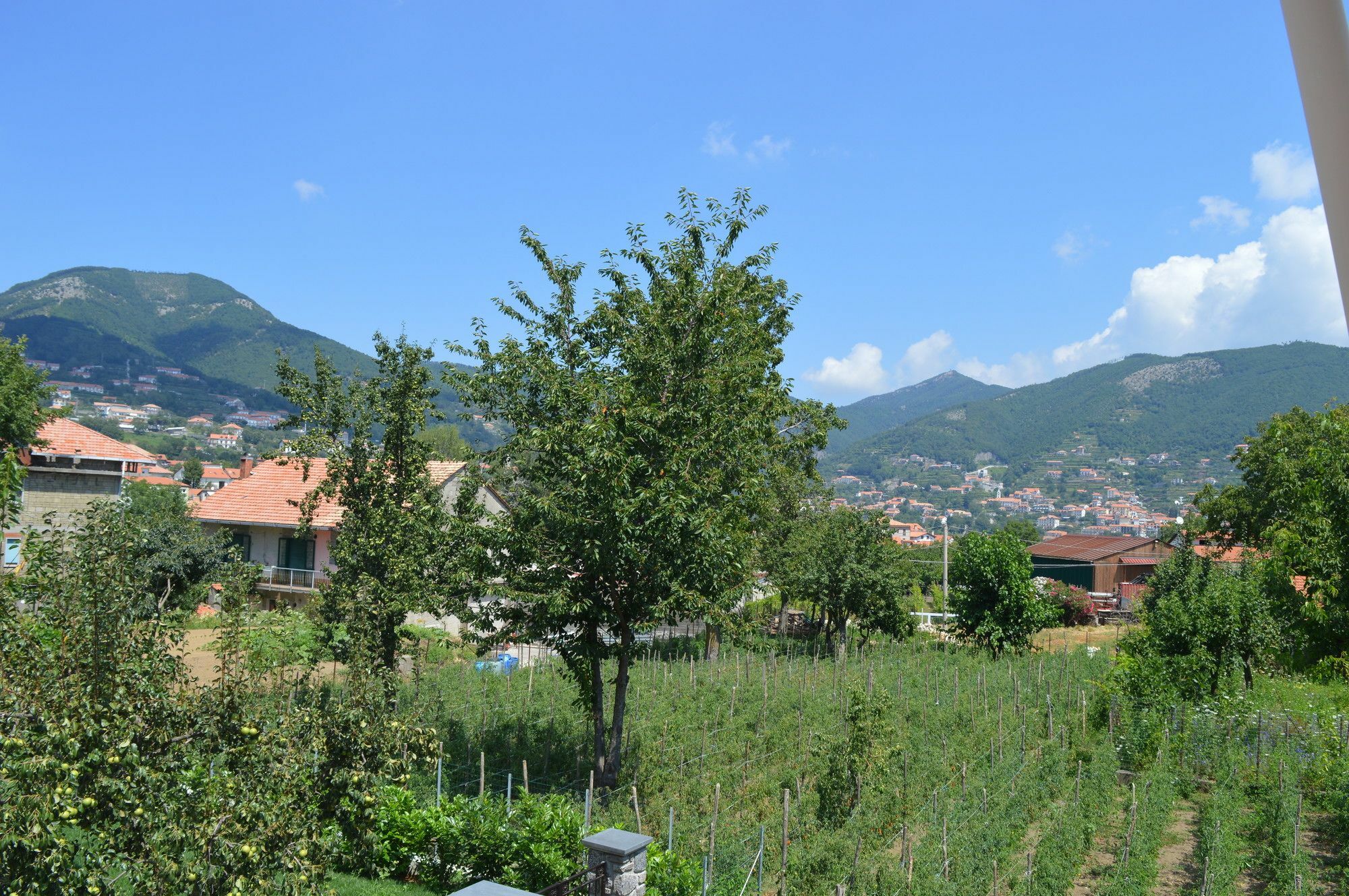 La Casa Dei Fiori - Ospitalita Diffusa Agerola Luaran gambar